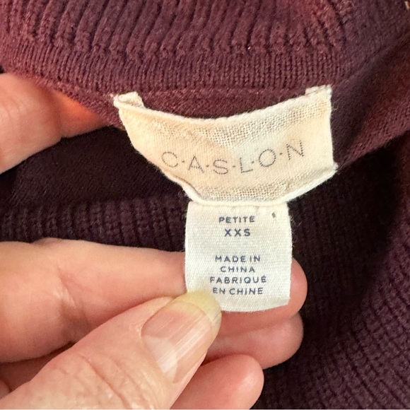 Caslon XXS Pet Maroon/Burgundy Viscose/Nylon/Polyester/Wool Cowl Neck Sweater - Picture 7 of 8